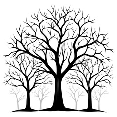 Large leafless hardwood trees are seen silhouetted on a white background .