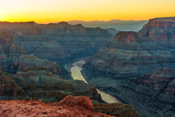 Sunset Glow on Snaking River in the Grand Canyon