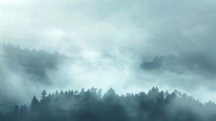 A misty forest with trees and clouds in the sky