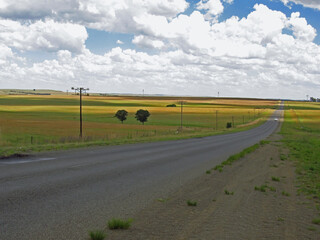 A deserted highway cutting through the fields of Rural Free State, South Africa.