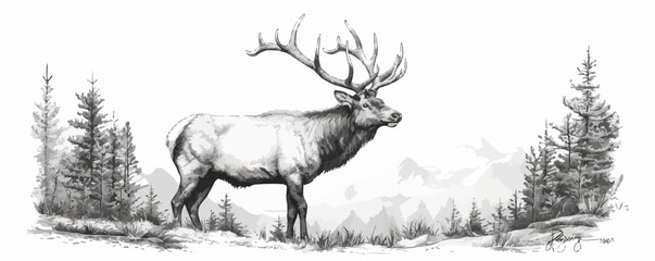 elk Engraving style. Simple pencil drawing. vector simple illustration