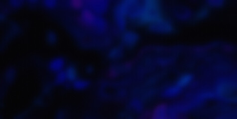 Whimsical and Energetic Colorburst Creating a Captivating and Abstract Visual Experience