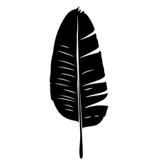 Banana Tree Leaf silhouette, Banana Tree Leaf icon vector illustration