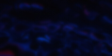 Whimsical and Energetic Colorburst Creating a Captivating and Abstract Visual Experience