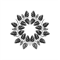 minimalist silhouette illustration of the tendrils of the monstera obliqua plant. as an icon or logo. round frame