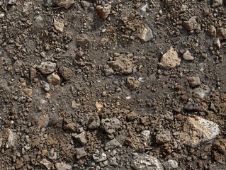 Dry, rocky field without any grass. Barren land concept