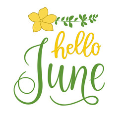 Handwritten, hello june, lettering message. June welcome quote with color leaves . Modern lettering. Hello June design for cards, banners, posters.	