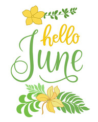 Handwritten, hello june, lettering message. June welcome quote with color leaves . Modern lettering. Hello June design for cards, banners, posters.	