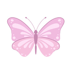 Pink Purple Butterfly Illustration