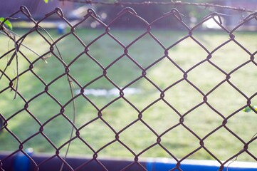 Chainlink fence with blurred yard in the background.