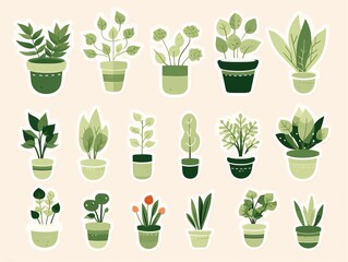 Collection of various houseplants and foliage in stylish pots. Ideal for botanical, gardening, nature, and home decor themes.