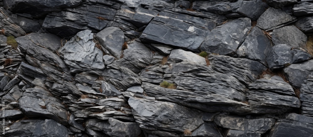 Leinwandbilder a close up shot of a stone texture with plenty of copy space for text or images