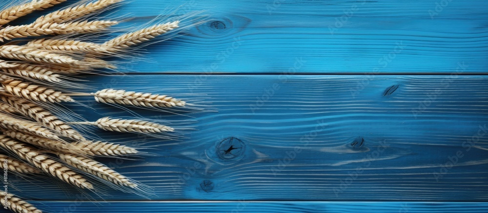 Fototapete Flat lay on a blue wooden table with ears of wheat creating a copy space image for text