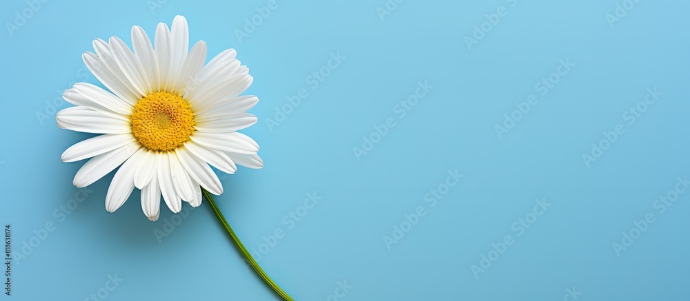 Leinwandbilder an empty sheet of paper a pen and a daisy all with space for copying images
