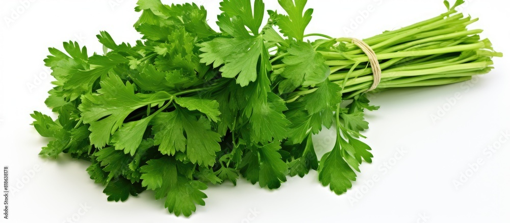 Poster An isolated bunch of parsley on a white background providing ample copy space for design or text elements