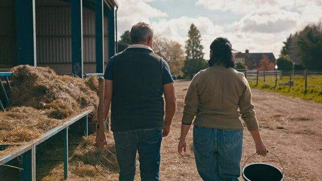 Rear view of male and female farm workers walking across yard past cattle barn at feeding time carrying bucket and pitchfork - shot in slow motion