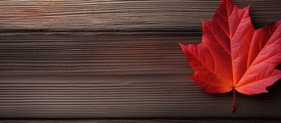 Autumnal red leaf displayed against a wooden backdrop with ample copy space for images