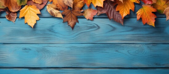 Colorful autumn leaves arranged on blue old boards create a vibrant background This copy space...