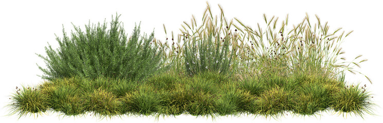 grass line and rosemary