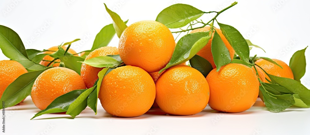 Poster isolated on a light background there is a copy space image of fresh ripe mandarins or tangerines alo