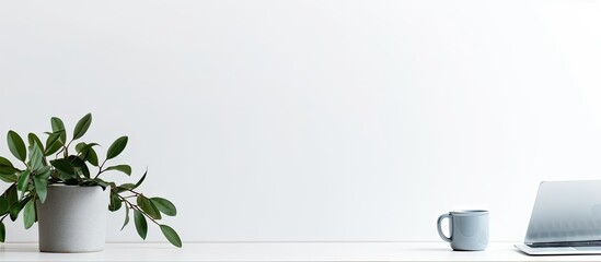 A minimal workspace with a wireless keyboard coffee cup and plant on a white background providing room for a copy space image - Powered by Adobe