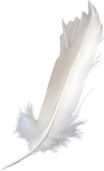 Obraz premium Close-up of white feathers inspired by a white cockatoo.