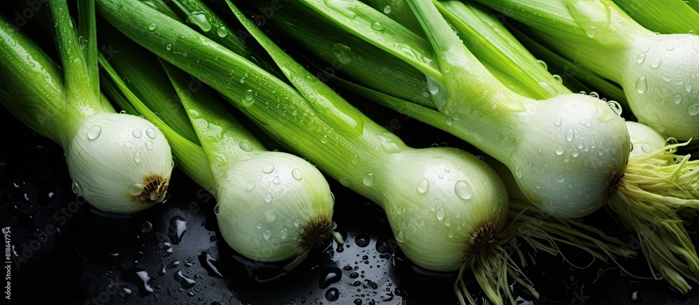 Aufkleber Top view of freshly harvested leeks with water drops on a stone background providing ample space for additional images or text