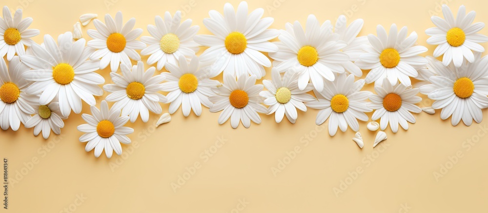 Poster aesthetic summer copy space image with bright chamomile flowers pattern on a beige background