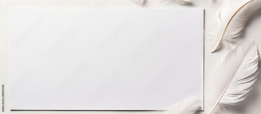 Poster A background of a white A4 paper with a pen and feathers leaving empty space for writing or drawing. with copy space image. Place for adding text or design