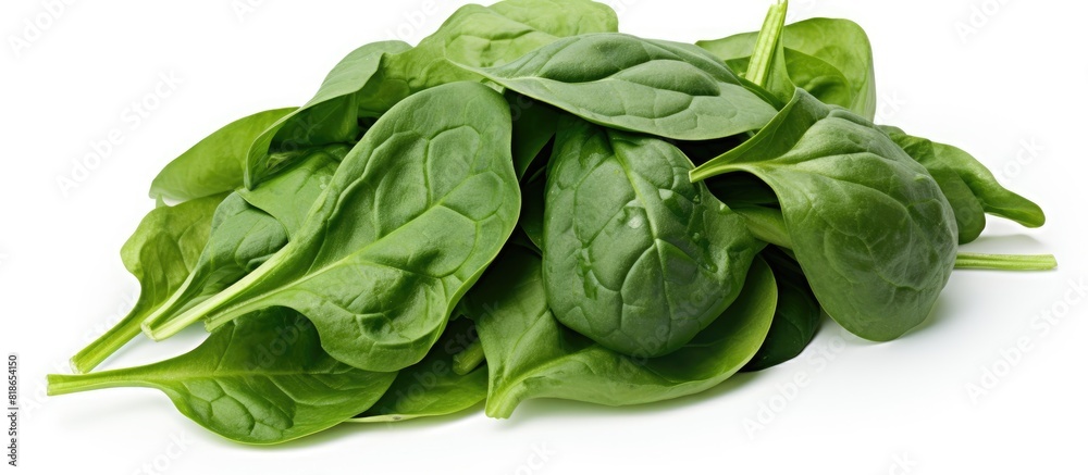 Poster Isolated on a white background there s a close up of fresh spinach leaves ready for copy space image Clipping path included