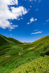 Fototapeta premium 双六小屋と鷲羽岳