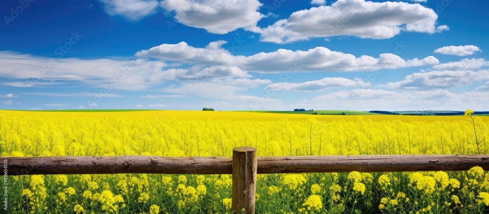 Poster Agricultural landscape featuring a bright rapeseed field with a wooden pillar from an old fence set against a blue cloudy sky with fine weather Copy space image