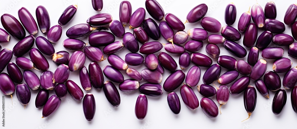 Poster a flat lay of purple corn or maize with isolated seeds on a white background allowing for ample copy