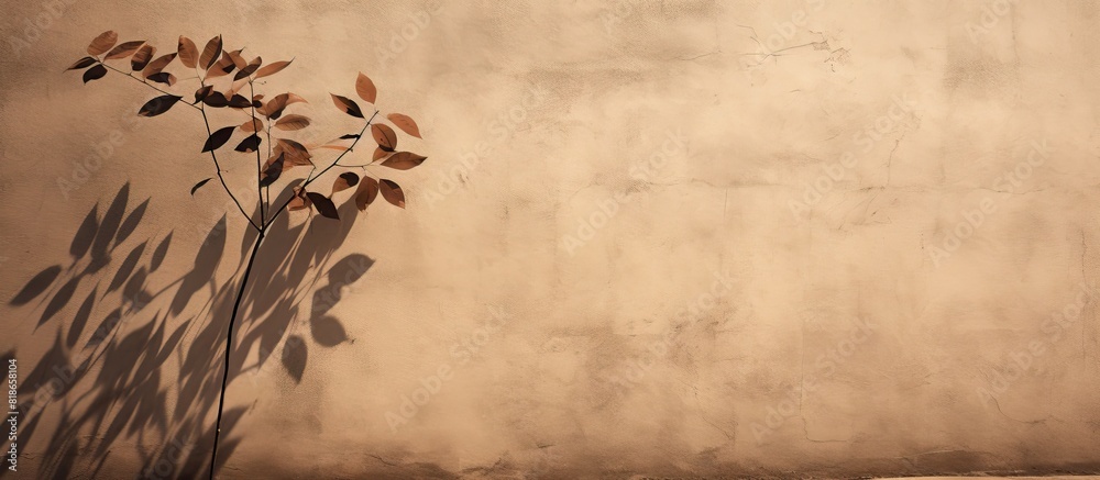 Aufkleber The abstract tree casts leaf shaped shadows on a textured wall The wall is brown with roughness and irregularities The image has trendy colored nature concept background and provides copy space for t
