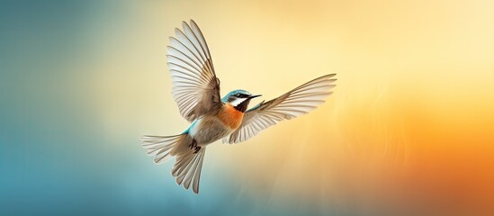 Naklejka premium Bird in flight with copy space image