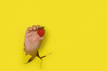 Female hand holding a strawberry coming out of a hole in a torn yellow paper background.