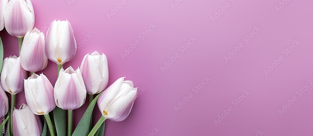 Aufkleber A collection of purple and white tulips arranged in a bouquet is shown from above placed on a pink background The image is suitable for a greeting card and contains copy space