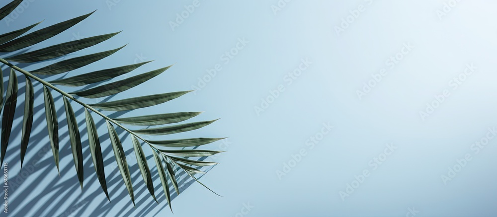 Poster A hazy silhouette of palm leaves casts a shadow against a soft blue wall creating a minimalist abstract backdrop for showcasing products Perfect for spring and summer promotions Copy space image