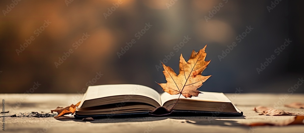 Leinwandbilder there is a copy space image with a leaf resting on top of a book