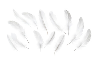 Delicate Art of Watching Feathers Float with Effortless Beauty Isolated on a Transparent Background...