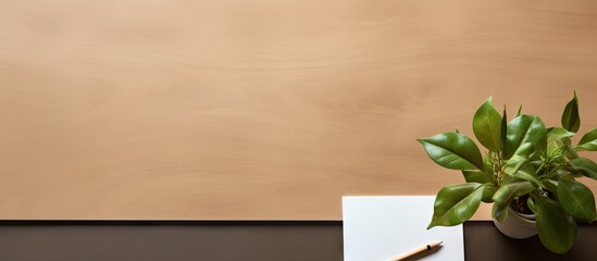 A brown paper pencil set for drawing on a minimal office desk with a plant and empty space for...