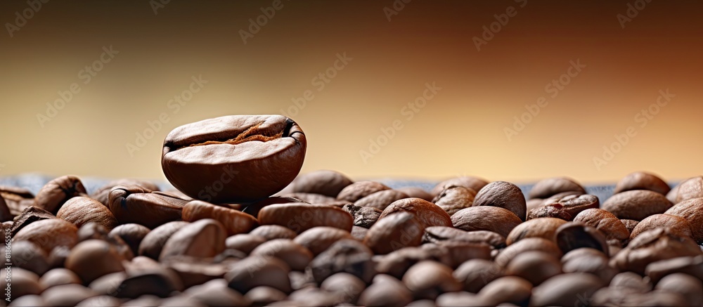 Aufkleber A copy space image featuring a close up view of a coffee bean against a plain background