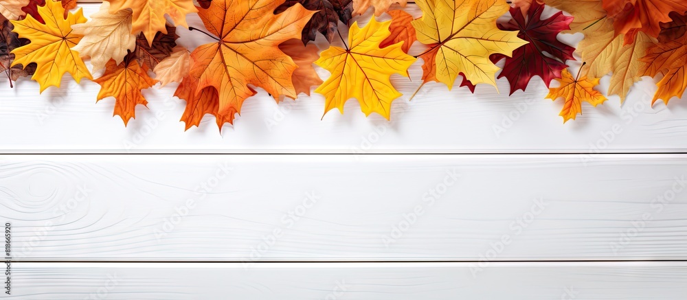 Poster autumn leaves provide a vibrant display on a white wooden table creating a stunning copy space image