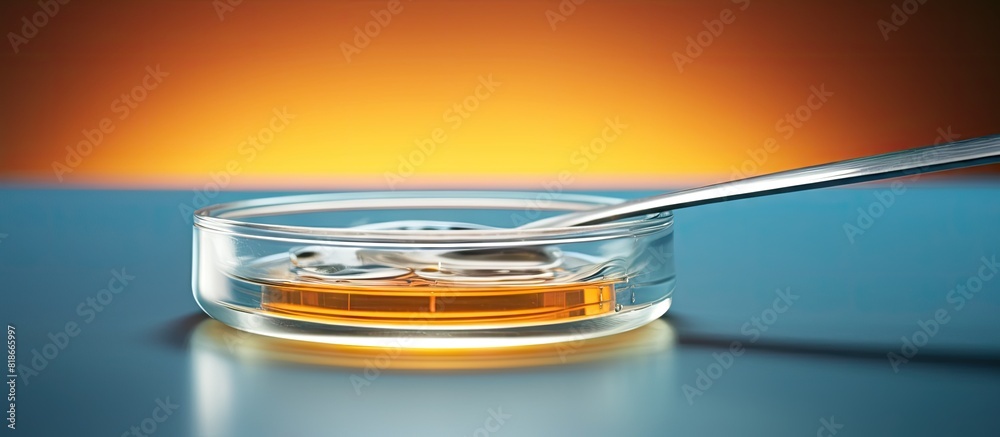 Poster a petri dish containing cetyl esters wax is seen with a plastic lid it is placed beside a stainless 