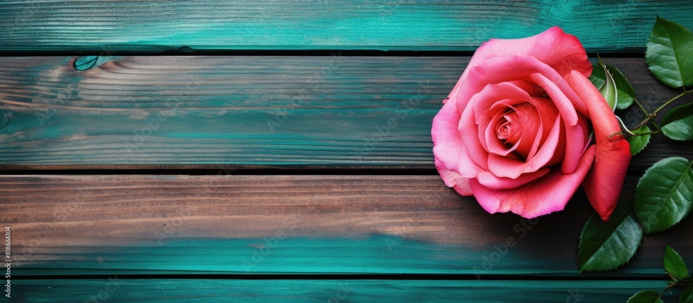 Aufkleber In a full frame view a colorful background texture of green stained wood is complemented by a single rose colored wood plank border at the top creating an excellent copy space image