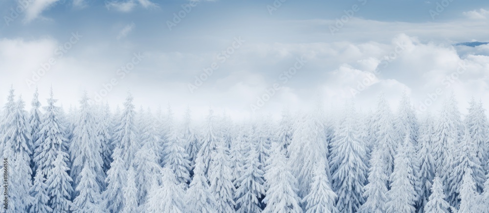 Poster an aerial copy space image captures the serene beauty of snow covered winter pine forests and birch 