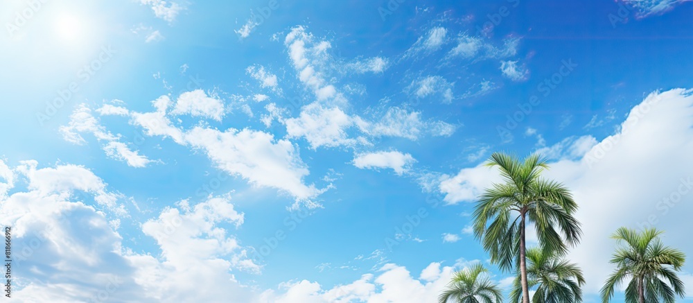 Poster A fresh and sunny day with palm trees against a blue sky and white clouds creating a copy space image that symbolizes environment and ecology