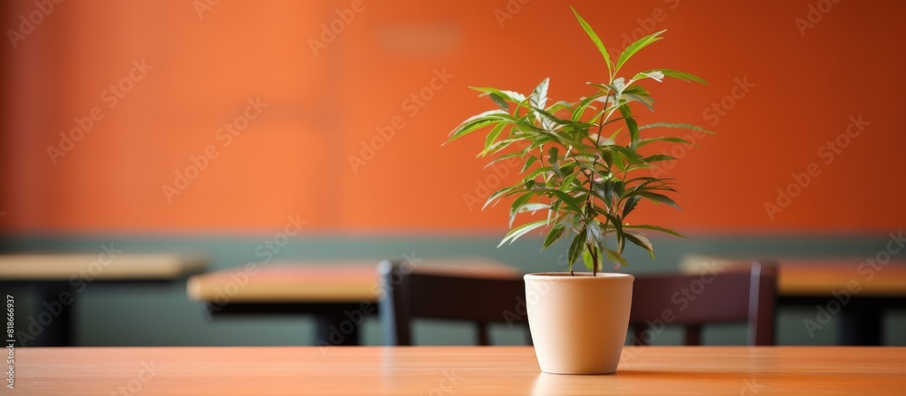 Aufkleber There is a plant placed in a decorative pot on a table in a coffee shop or restaurant creating a visually appealing image with empty space around it 121 characters including spaces