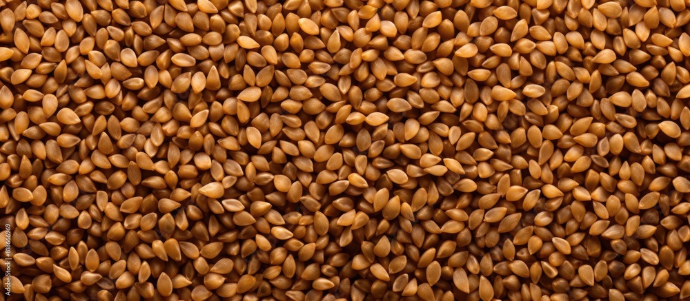 Aufkleber Close up macro texture of buckwheat malt used in the production of alcoholic beverages and animal feed with a background and copy space image showcasing the cereal groats