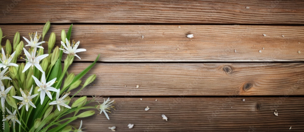 Poster copy space image of giant squill and leaf measles against a rustic wood background